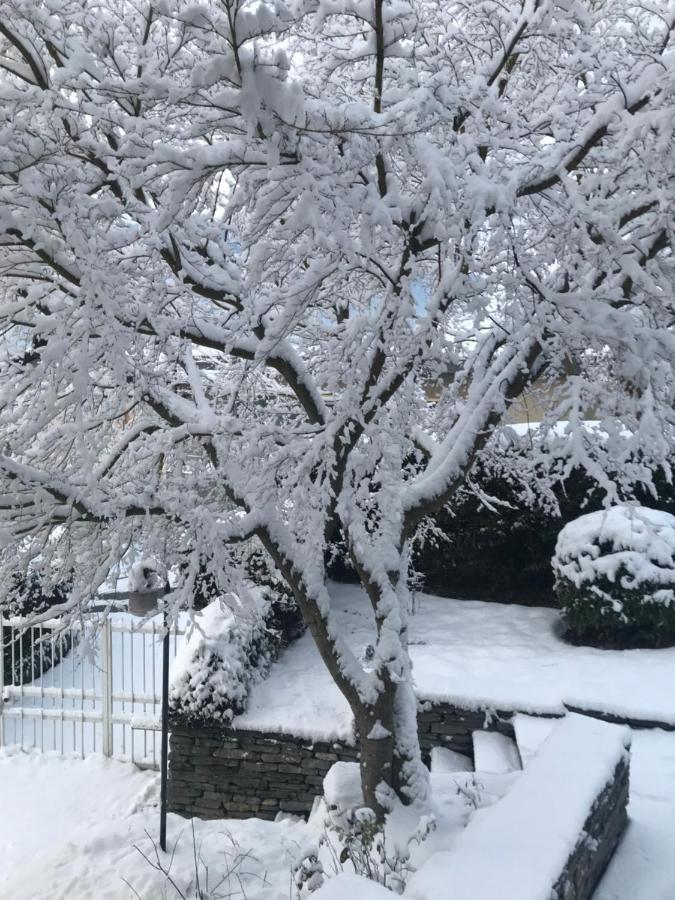 Edelweiss29 Lägenhet Aosta Exteriör bild